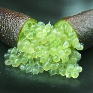 Un citron caviar ouvert